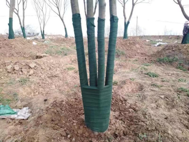 綠化裹樹布，包土球的無紡布